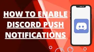 How to enable discord push notifications