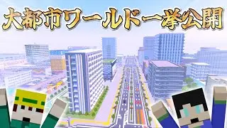 [Minecraft] What size city world could you build if you spent a year seriously building? All reve...