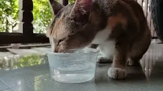 Xiaomi 12 Pro Slow Motion Sample 960 FPS