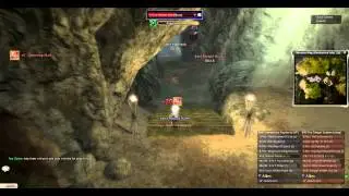 Top 3 Guild Wars solo's