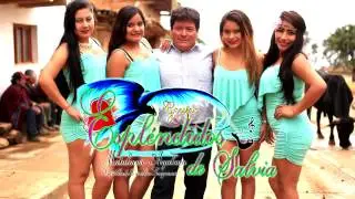 CONTENTA TE VAS. ESPLENDIDOS DE SALVIA. HD.4K. VIDEOCLIP