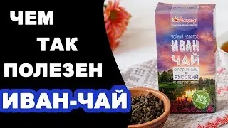 Ivan Tea: beneficial properties, contraindications, and traditional medicine recipes for high blo...