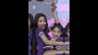 groups with a huge height difference between the tallest and smallest member