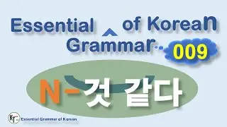 ■ Essential Grammar of Korean ★09  N 것 같다
