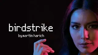 Martin Harich  - Birdstrike  - Official Video