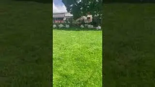 Yes, I fell over - Man Down!!