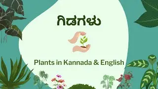ಗಿಡಗಳು (Gidagalu) - Plants in Kannada & English