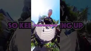 Cookie$ - 17B feat. Jkey Lyric Video