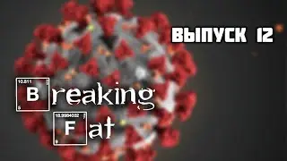 BreakingFat 12. Экстренное приостановление похудения, диет и тренировок! Почему?