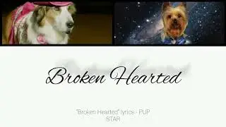Broken Hearted lyrics - PUP STAR