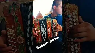 "Белые розы" игра на гармони#СаняГармонь#учусьсам#