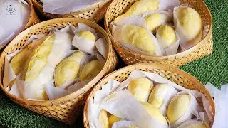 Durian Lava at Papa Farm Sisaket Thailand