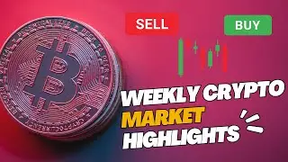 Weekly Crypto Market Highlights - Building Momentum Across the Board