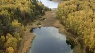 стих 