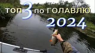 Топ 3 по Голавлю 2024