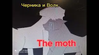 Коты-воители Волк и Черника аудио:The moth