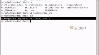how to multiplex control file ?