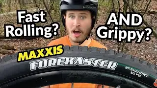 The 