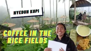 Why Everyone’s Talking About Nyeduh Kopi Tabanan, Bali’s Viral Café