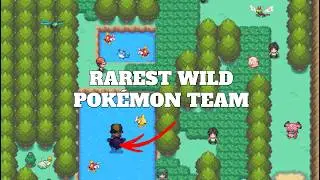 The RAREST WILD ENCOUNTER TEAM You Can Get | Pokémon Heartgold & SoulSilver