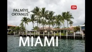 MIAMI / Palmiye ve Okyanus
