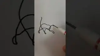 Walking cat 🐈 oneline #easydrawing #subscribe #shorts