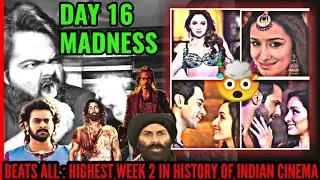 STREE 2 BEATS JAWAN ANIMAL BAAHUBALI 2 BECOMES HIGHEST WEEK 2 | BOX OFFICE COLLECTION DAY 16 | EPIC