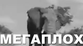 СЛОН ПЛОХ | МЕМ