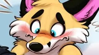 Top 10 Kinds of Furries UwU