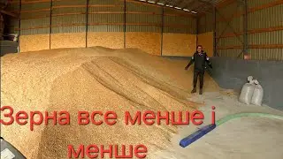 Зерно іспаряється,свині ріжуться,Сало продаєтьця, Вікна ставлятьця...