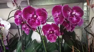 Как поживают мои новинки💮