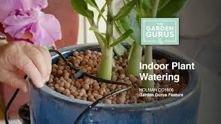 Indoor Plant Watering with The Garden Gurus