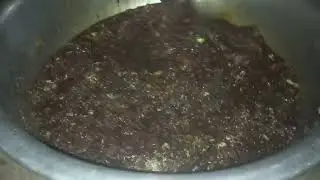 nyob zoo os los nrog peb ua nqij noj nawb/3/4/2025