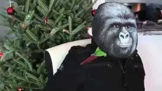 JORGE