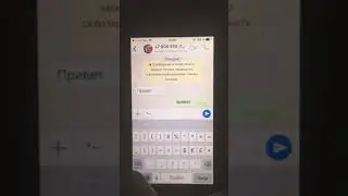 WhatsApp вы об этом не знали