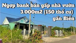 #108 Kẹt tiền bán gấp căn nhà vườn cực rộng gần ngay lối ra cao tốc Hồ Tràm XUYÊN MỘC BRVT