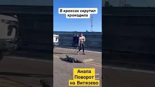Зверёк выбежал на дорогу