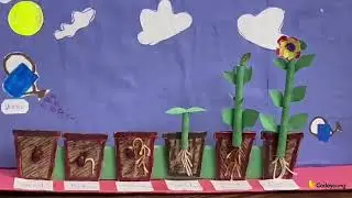 Life Cycle of a Plant Explained by a Kid | Easy Science Project for Kids