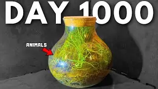 I Simulated a forest For 1000 Days (In a Jar)...