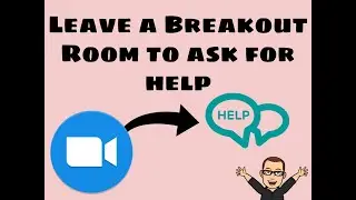 Leave a Breakout Room to Ask My Teacher a Question