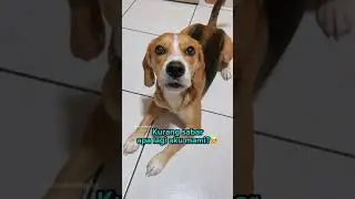 RYUKI SI PALING DRAMA‼️🤦🏻‍♀️ 