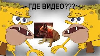 Спустя год - монтаж! (Battlefield 1, The Division 2, CS GO)