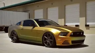 Reptile Plasti Dip Mustang GT