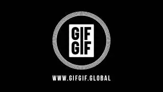 GIFGIF Customisation Options