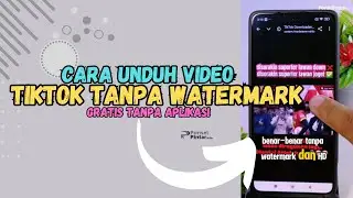 How to Download TikTok Videos Without Watermark for Free 
