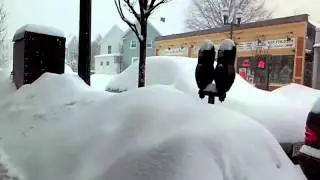 Didico em Boston