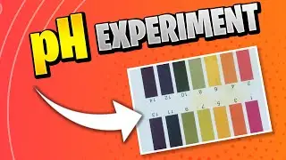 Kids science experiment DIY pH indicator