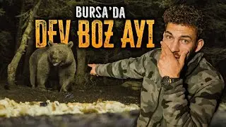 SPENDING A NIGHT WITH THE BEARS IN BURSA ULUDAĞ! - TOGETHER WITH MARTYR SİNAN ATEŞ