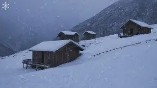 Snowstorm at a Frozen Wooden Hut┇Howling Wind & Blowing Snow┇Freezing Snowstorm Sounds for Sleeping