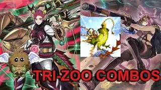 Don't Let Them Play! - Infinite Negation Combos with Tribrigade-Zoodiac  2021
